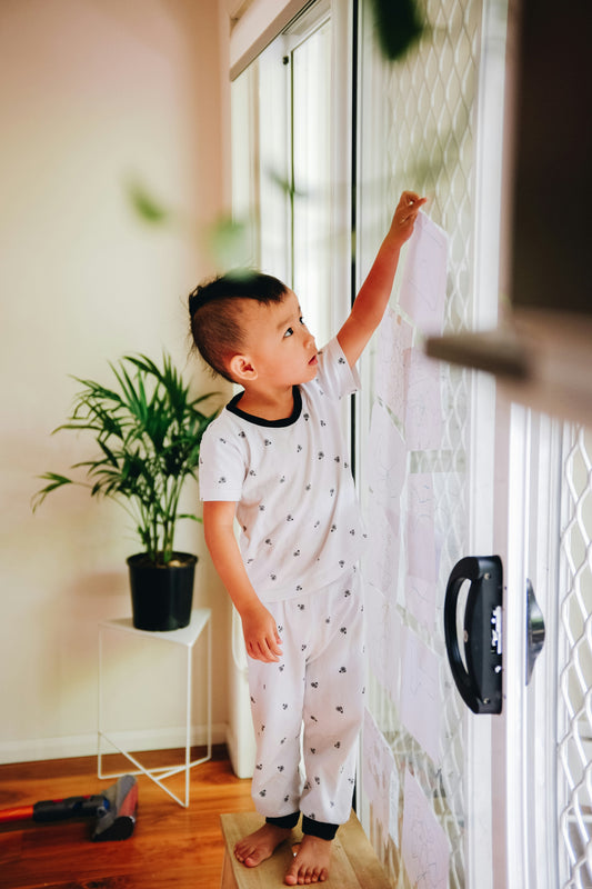 Magnetic Screen Door