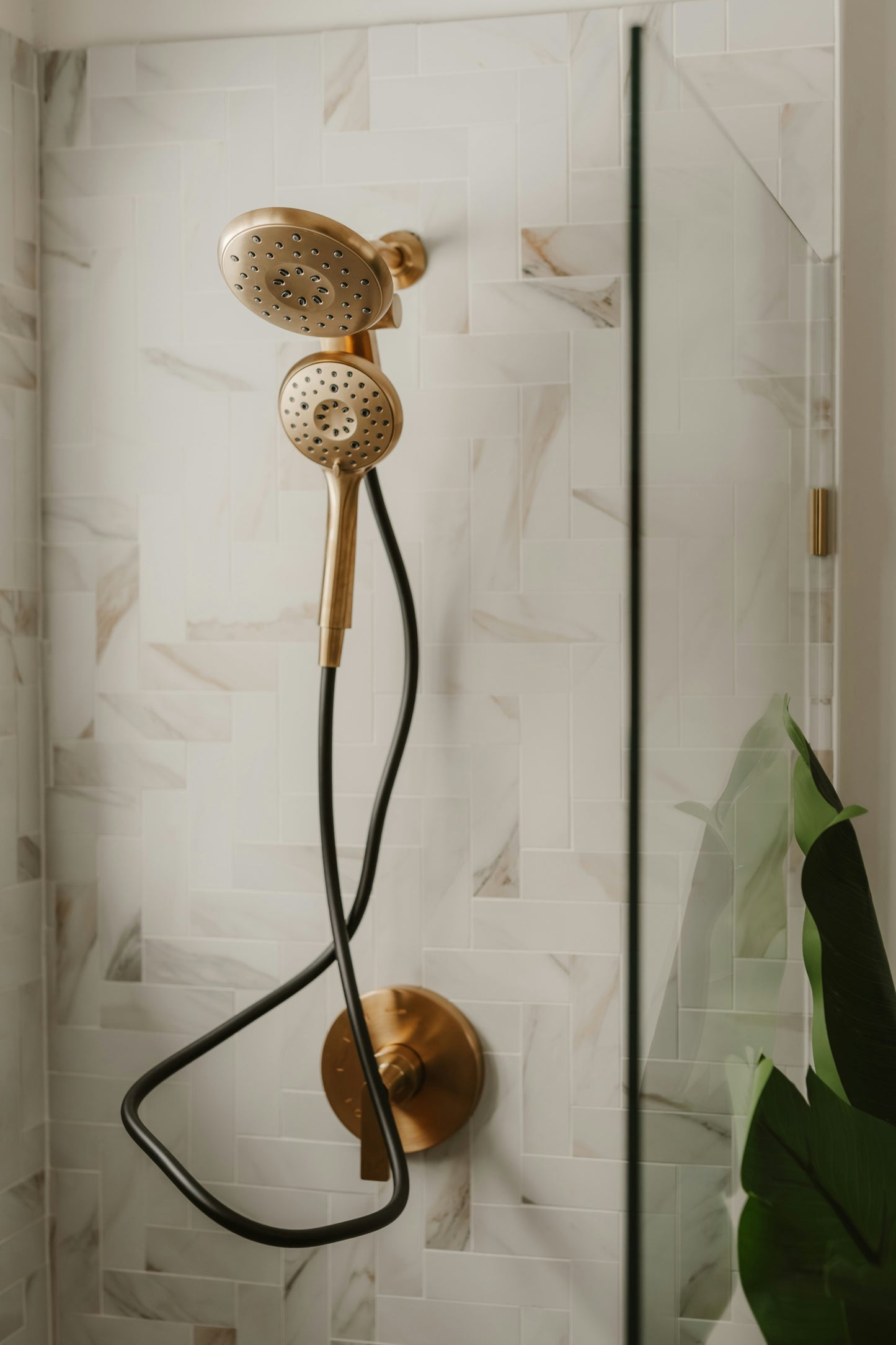 Filtered Shower Head